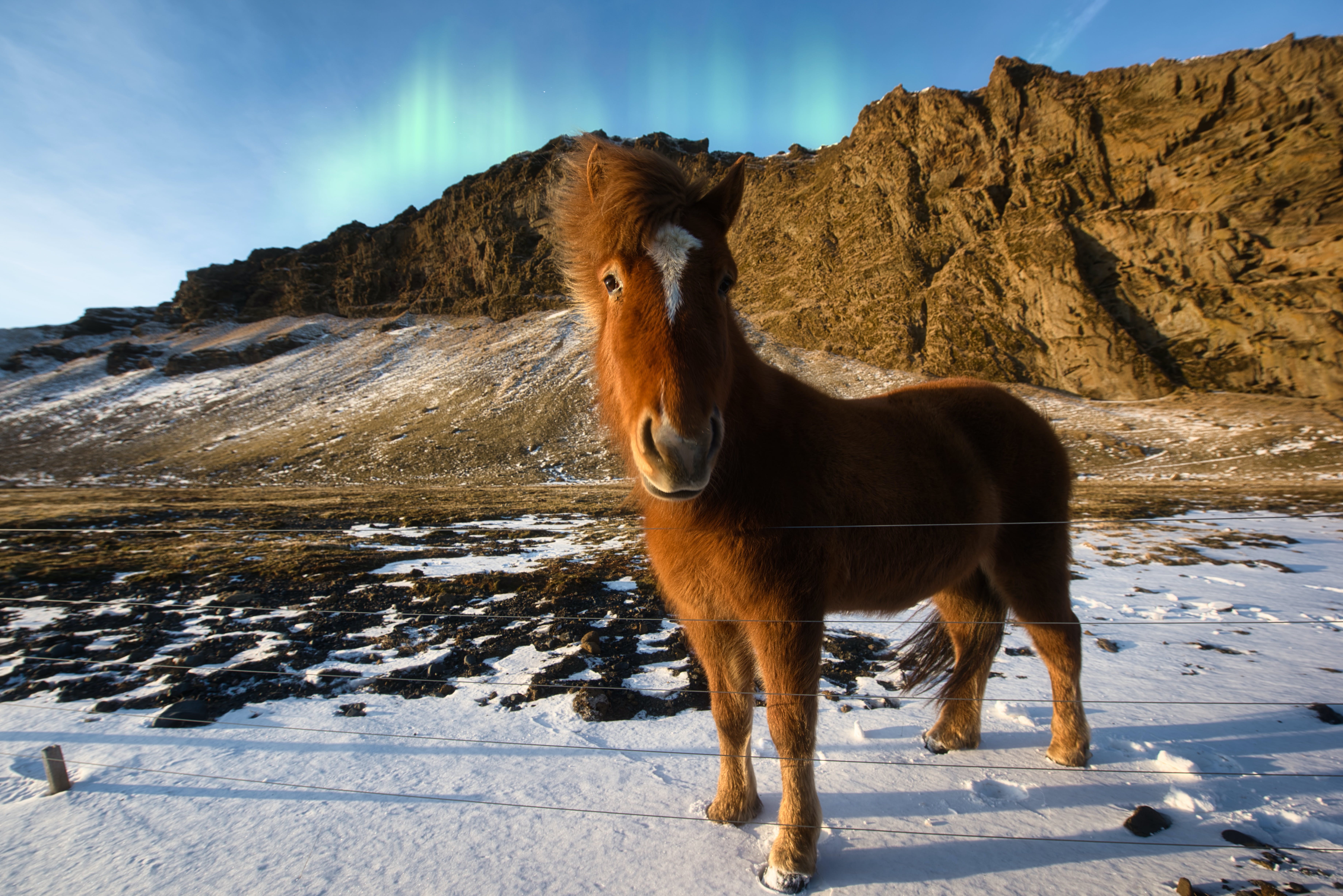 Öka adrenalinet med en resa till Island: En äventyrlig upplevelse av extravaganta aktiviteter.jpg